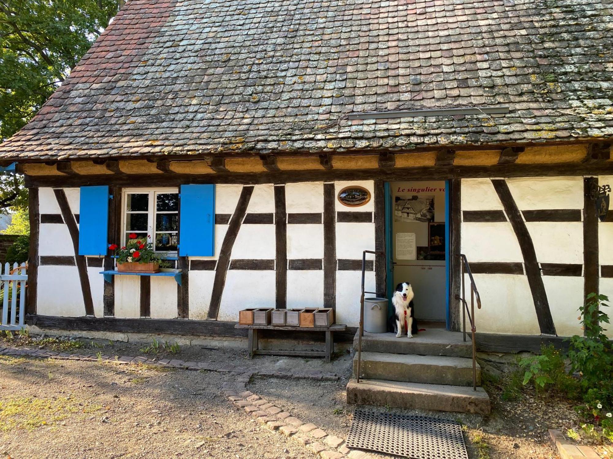 Chambres d'Hôtes des Cascades St-Nicolas Kruth Exterior foto